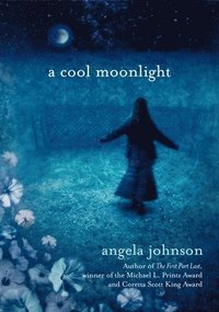 bokomslag A Cool Moonlight