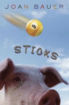 Sticks 1