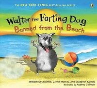 bokomslag Walter The Farting Dog: Banned From The Beach