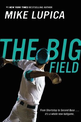 The Big Field 1