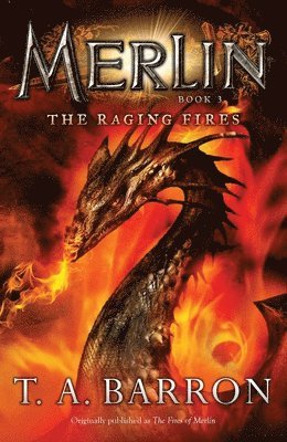 The Raging Fires 1