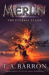 bokomslag The Eternal Flame: Book 11