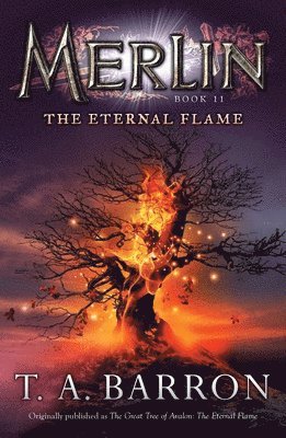 The Eternal Flame: Book 11 1