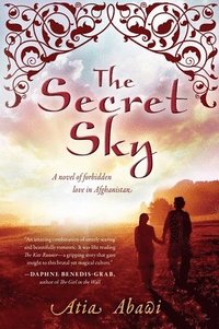 bokomslag Secret Sky