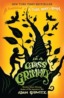 bokomslag In a Glass Grimmly: A Companion to a Tale Dark & Grimm