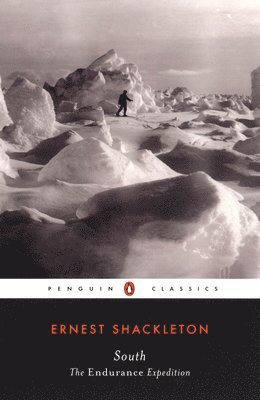 bokomslag South: The Endurance Expedition
