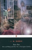 J. M. Barrie - Peter Pan, Häftad