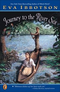 bokomslag Journey to the River Sea
