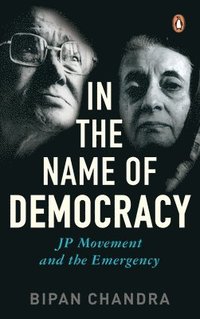 bokomslag In The Name Of Democracy