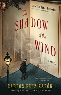 bokomslag Shadow Of The Wind