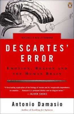 Antonio Damasio - Descartes' Error: Emotion, Reason, and the Human Brain, Häftad