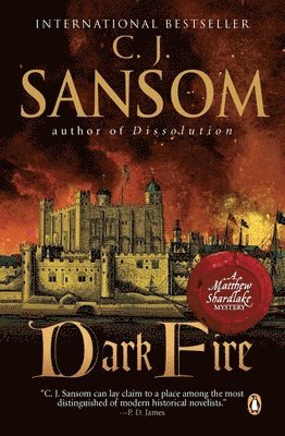 bokomslag Dark Fire