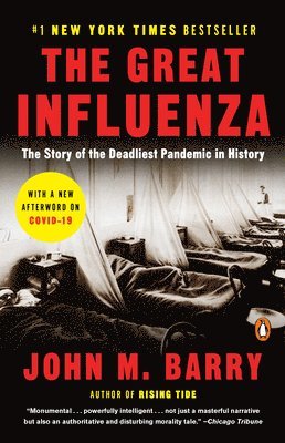 bokomslag The Great Influenza