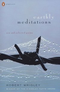 bokomslag Earthly Meditations: Earthly Meditations: New and Selected Poems