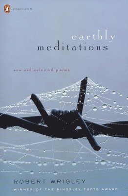 Earthly Meditations: New and Selected Poems 1