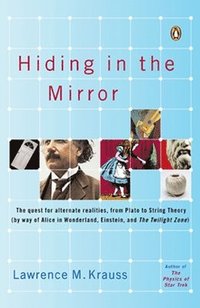 bokomslag Hiding in the Mirror