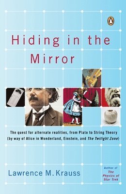 Hiding in the Mirror 1