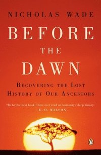 bokomslag Before the Dawn: Recovering the Lost History of Our Ancestors
