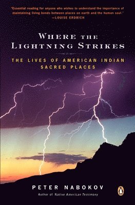 bokomslag Where the Lightning Strikes: The Lives of American Indian Sacred Places