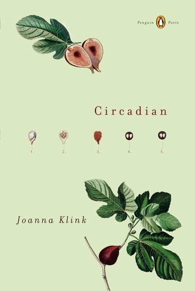 Joanna Klink - Circadian, Häftad