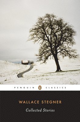 bokomslag Wallace Stegner: Collected Stories
