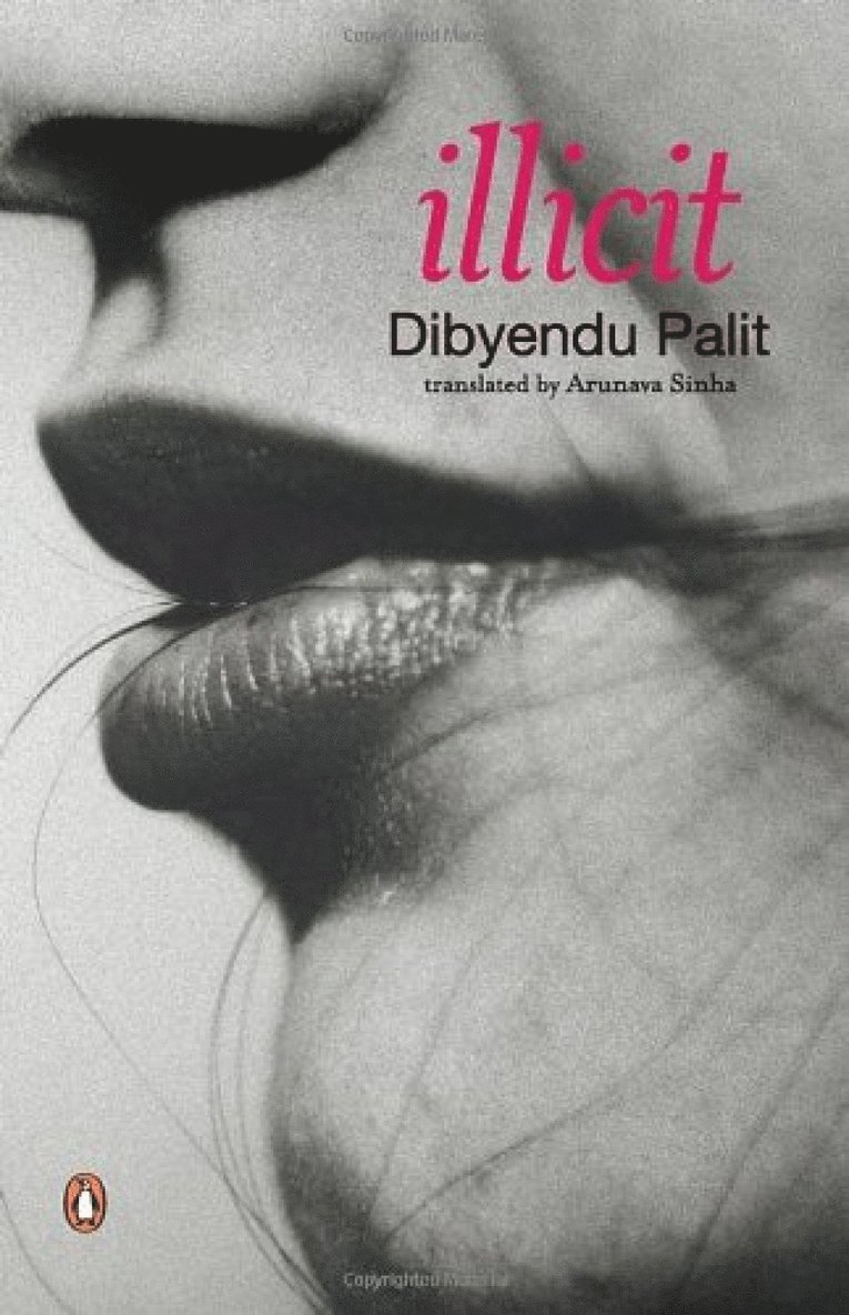 Arunava Sinha, Dibyendu Palit - Illicit, Häftad