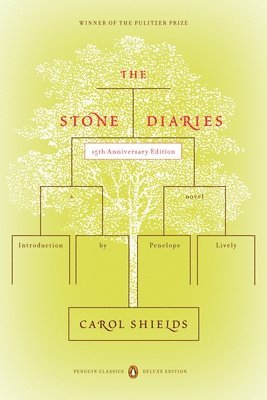 bokomslag The Stone Diaries