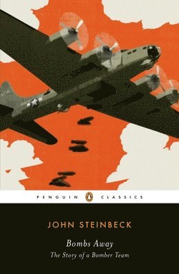 bokomslag Bombs Away: The Story of a Bomber Team