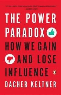 bokomslag Power Paradox