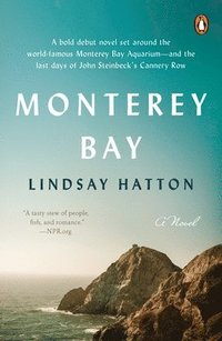 bokomslag Monterey Bay