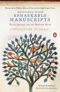 bokomslag Meetings with Remarkable Manuscripts