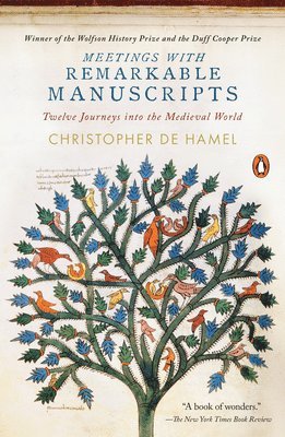 bokomslag Meetings with Remarkable Manuscripts