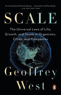 bokomslag Scale: The Universal Laws of Life, Growth, and Death in Organisms, Cities, and Companies