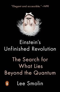 bokomslag Einstein's Unfinished Revolution