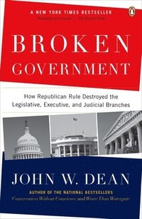 bokomslag Broken Government