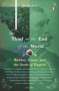 bokomslag The Thief at the End of the World: Rubber, Power, and the Seeds of Empire