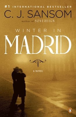 Winter in Madrid 1