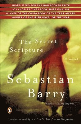 The Secret Scripture 1