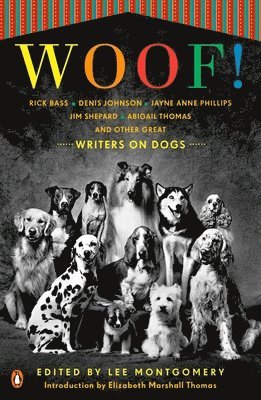 bokomslag Woof!