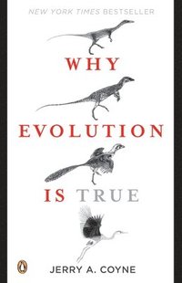bokomslag Why Evolution Is True