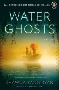 bokomslag Water Ghosts