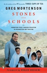 bokomslag Stones into Schools