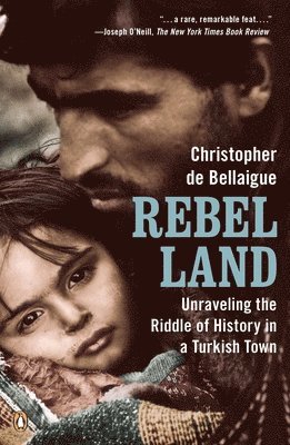 bokomslag Rebel Land