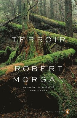 bokomslag Terroir