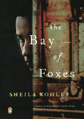 Sheila Kohler - The Bay of Foxes, Häftad