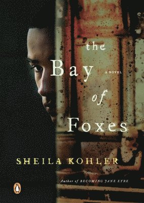 The Bay of Foxes 1