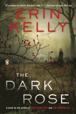 Erin Kelly - The Dark Rose, Häftad