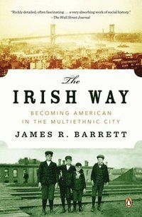bokomslag The Irish Way