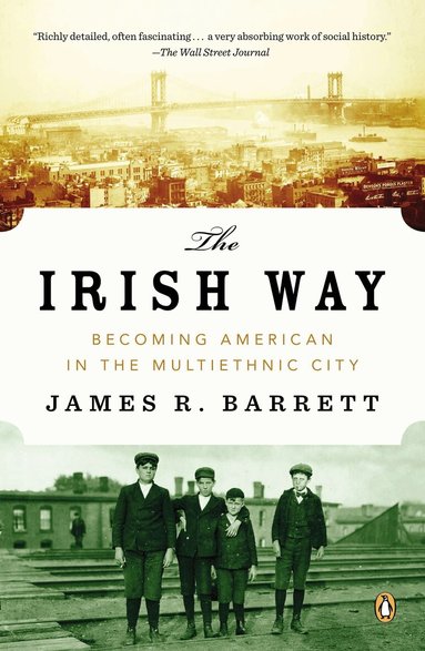 James R. Barrett - Irish Way, Häftad