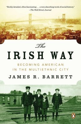The Irish Way: Becoming American in the Multiethnic City